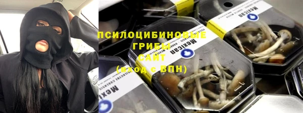apvp Алексин