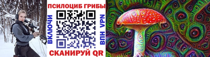 цена   Кемь  мега как зайти  Галлюциногенные грибы Psilocybe 